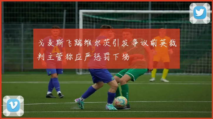 戈麦斯飞踹维尔茨引发争议前英裁判主管称应严惩罚下场