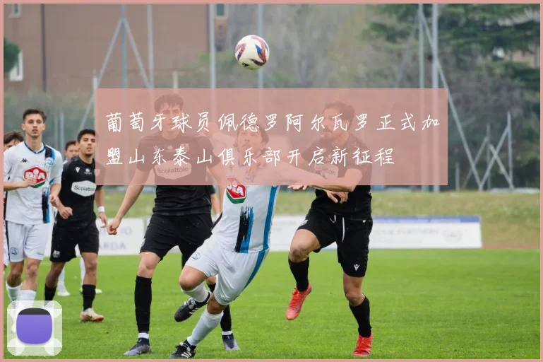 葡萄牙球员佩德罗阿尔瓦罗正式加盟山东泰山俱乐部开启新征程