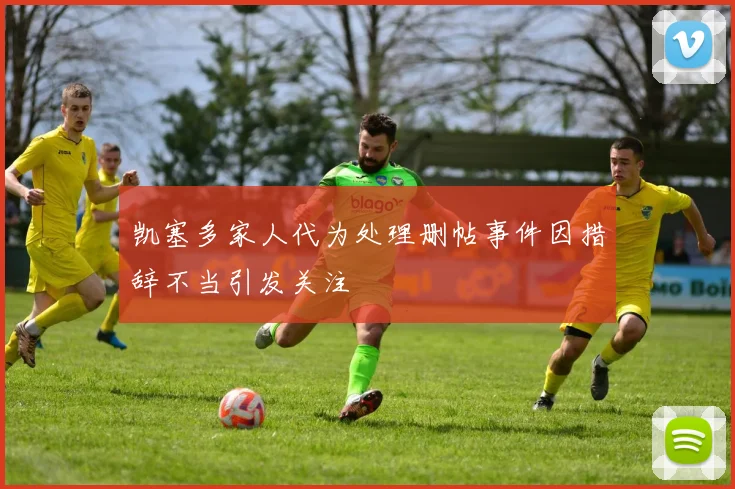 凯塞多家人代为处理删帖事件因措辞不当引发关注